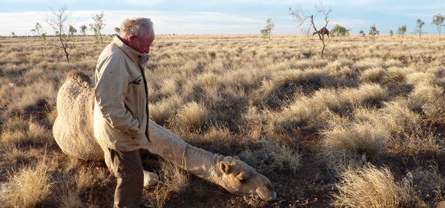 rencontre australie