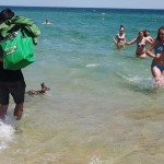 Kangourou se baigne sur la plage Australie