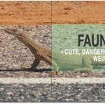 Faune Australie sommaire