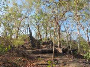 endroits immanquables kakadu national park nord centre australie