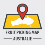 Carte fruit picking FR banner V2