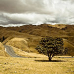 Location-vehicule-nz-route