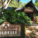 visiter-hamilton-island-wildlife