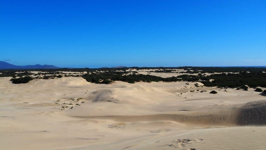 Dunes et étendue de sable sur une plage du Wilsons Promontory National Park