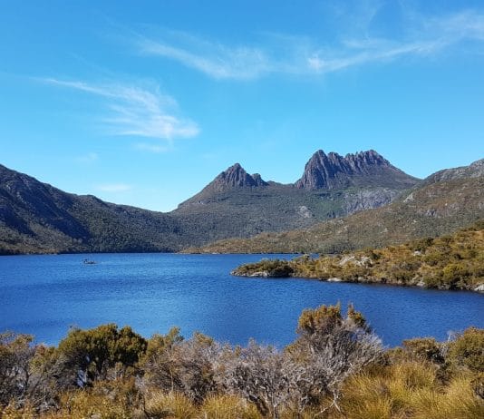 Découverte de la Tasmanie, une île incontournable en Australie